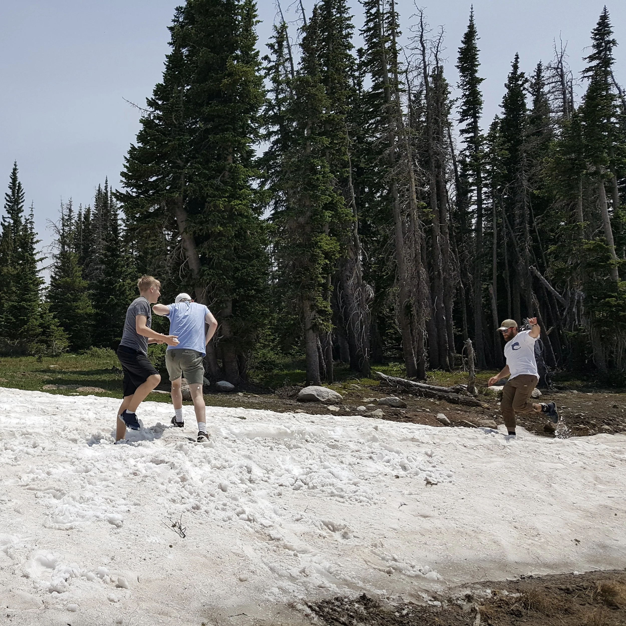 Three people playing on a patch of snow in a forest with tall pine trees.