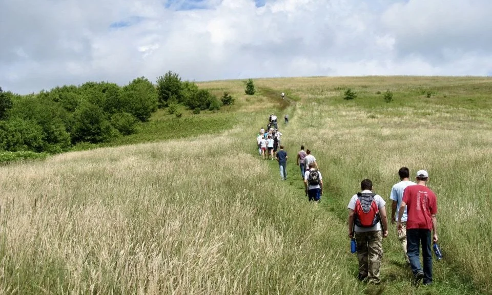 A group of hikers walking on a narrow trail through a grassy field toward the horizon.