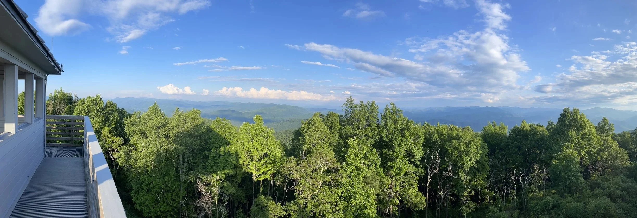 View of a lush green forest from a balcony, with mountains and a blue sky with clouds in the background.