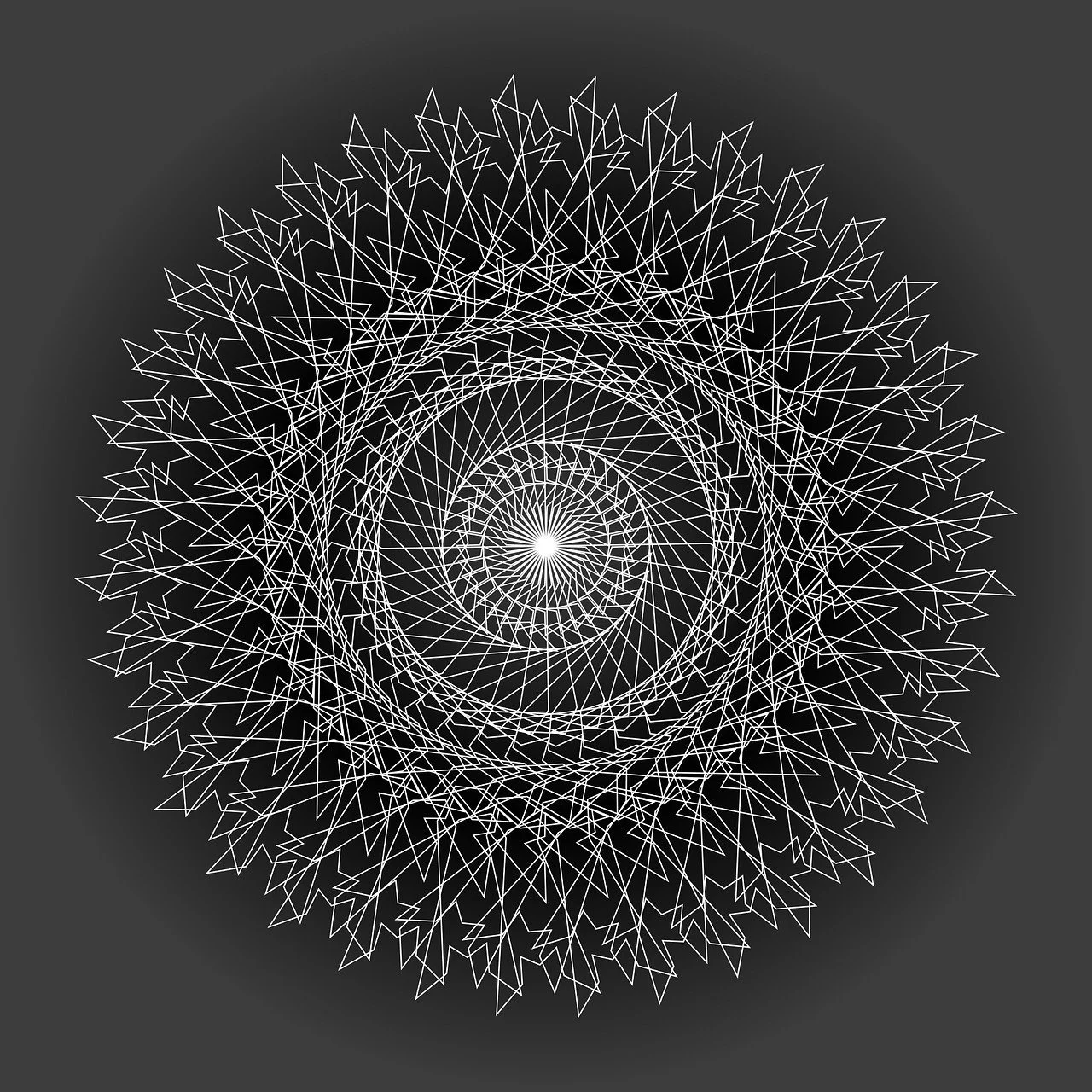 Executive Advisory Services for Leaders Operating in Complexity