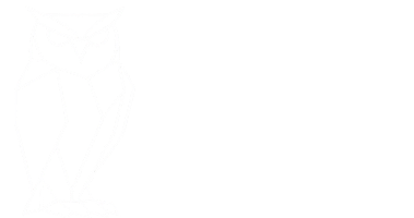 S.M.A.C.K.™ Wise - Organizational Effectiveness Consulting Firm