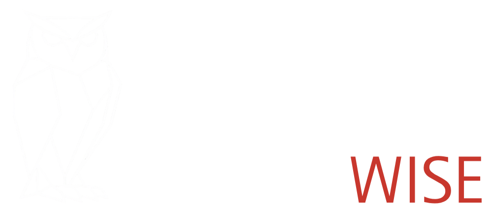 SMACK™ Wise - Organizational Effectiveness Consulting Firm