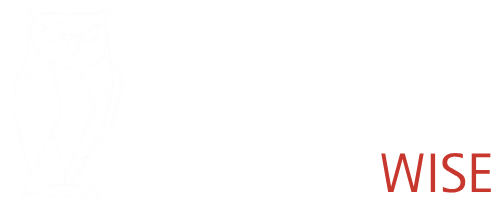 S.M.A.C.K.™ Wise - Organizational Effectiveness Consulting Firm