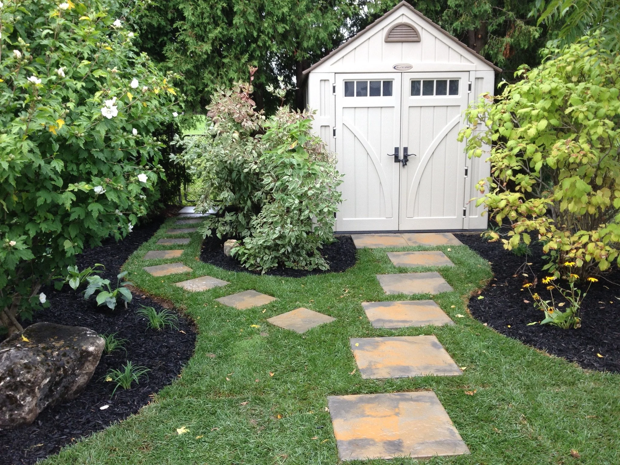 A neatly landscaped yard with a stone pathway leading to a white garden shed, surrounded by green bushes and trees.