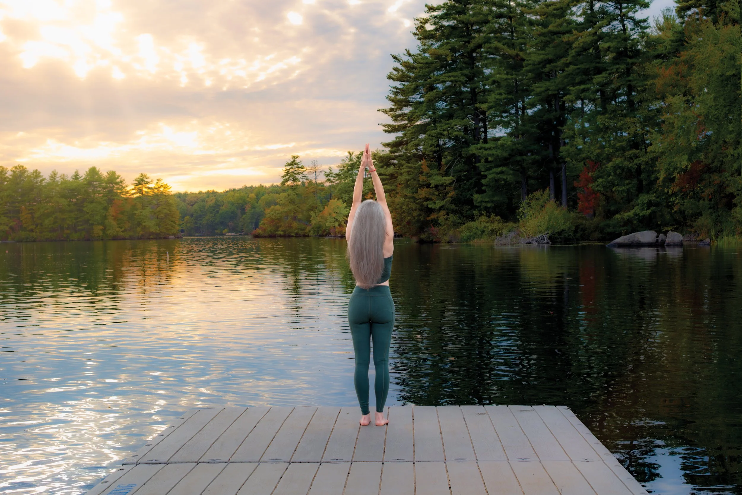 Yoga Asana/Postural Yoga