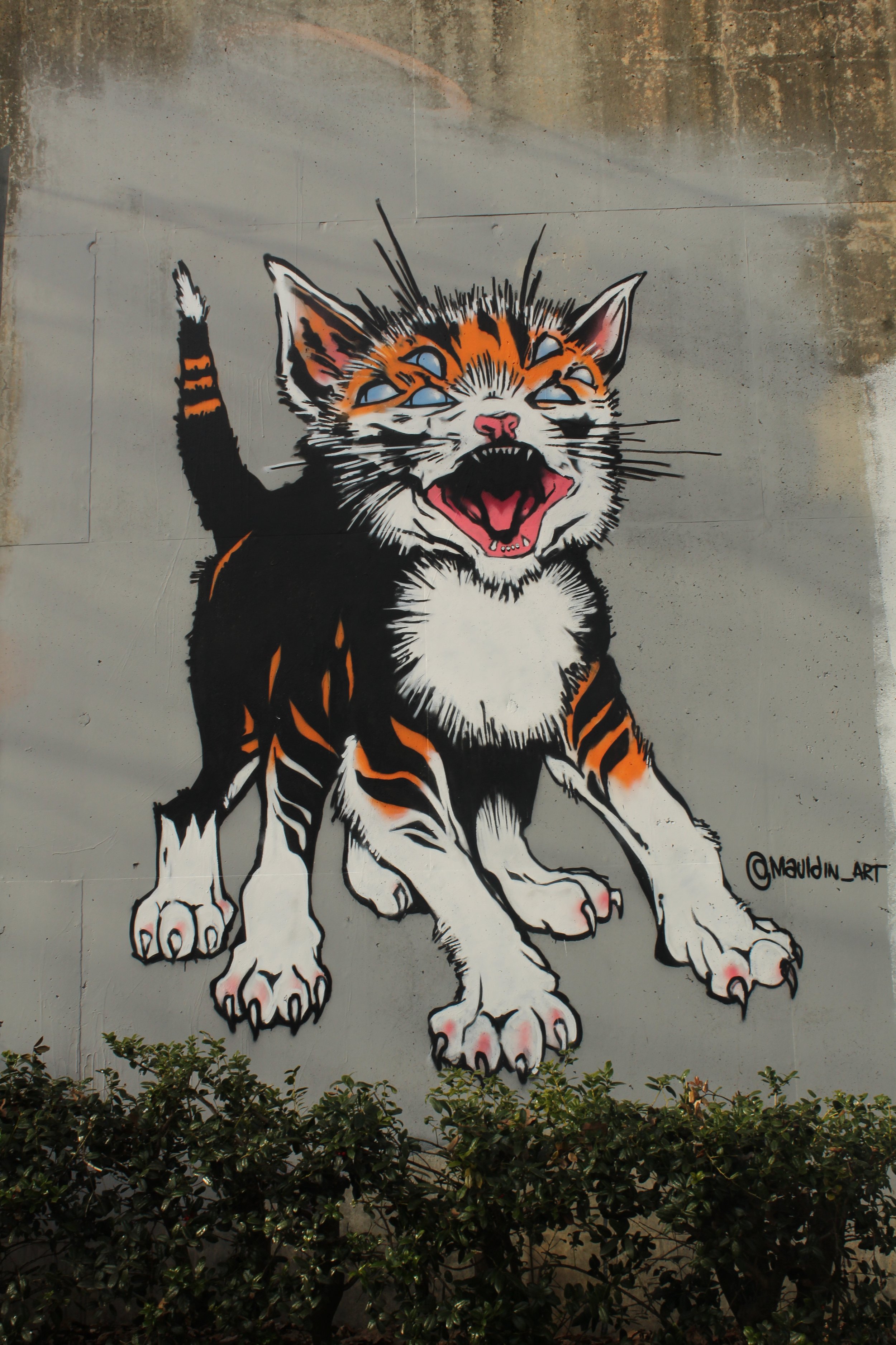 Colorful mural of a fierce-looking, four-eyed tiger cub with orange, black, and white fur, sitting on a concrete wall with some greenery below.