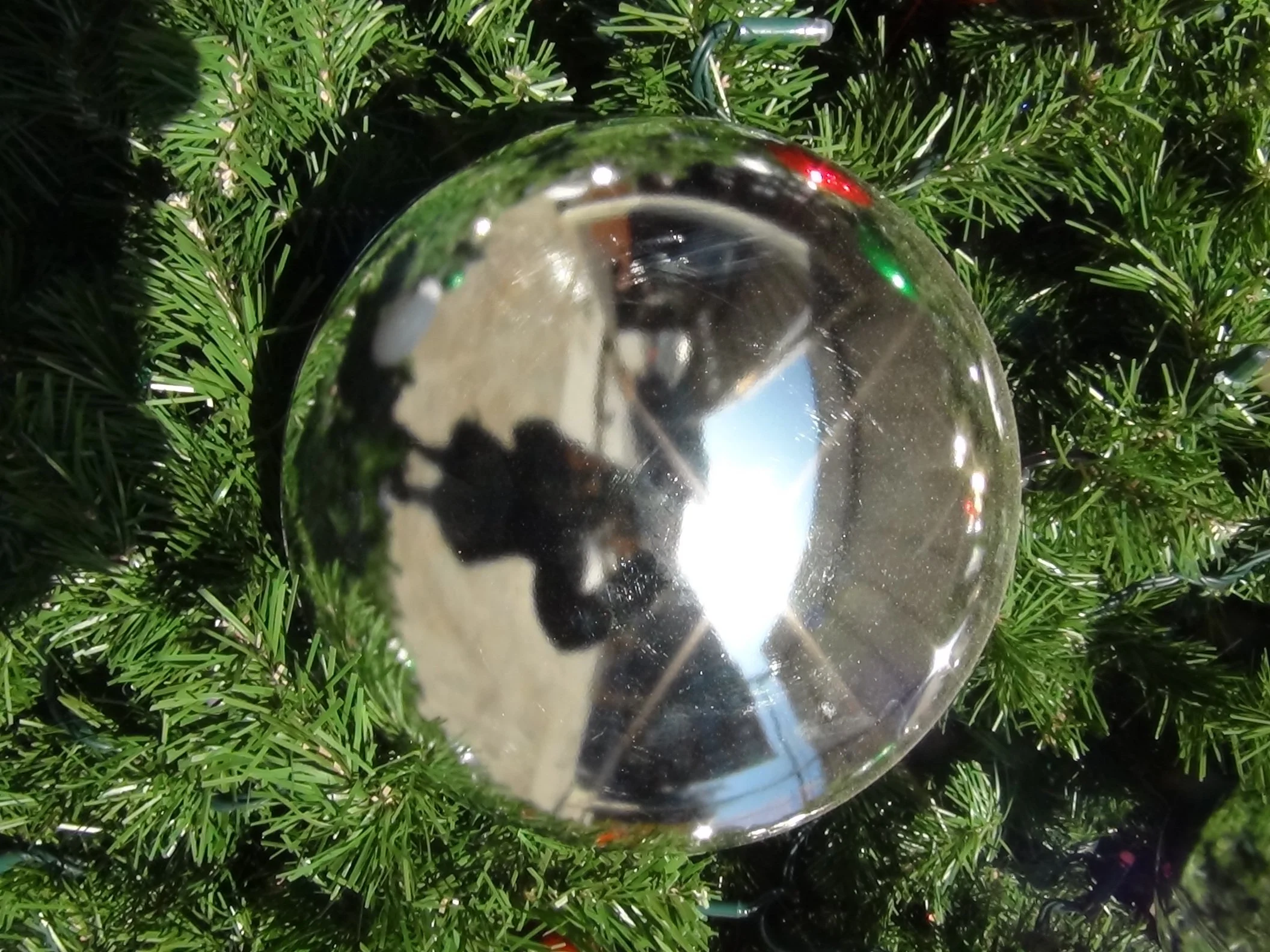 Close-up of a reflective silver Christmas ornament hanging among green pine branches.