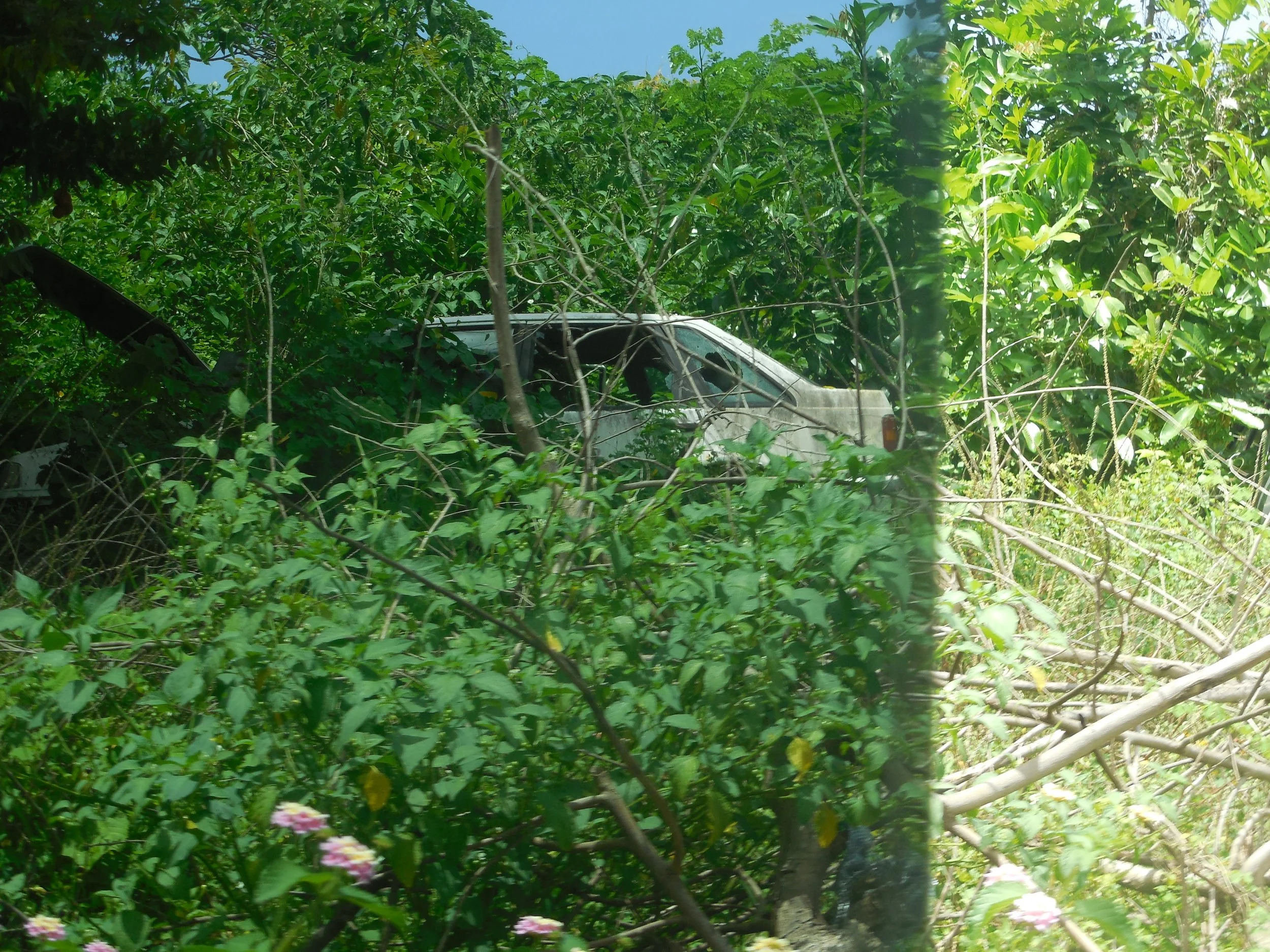 DSCN4119.JPG