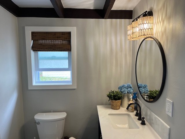 Bathroom with a small window, a toilet, a vanity with a sink, a mirror, a wall-mounted light, and decorative plants.