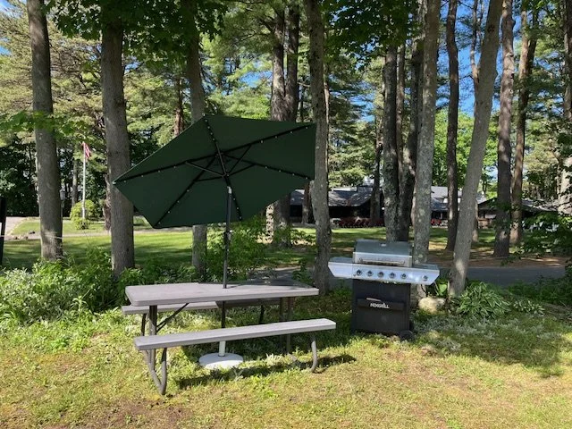 Outdoor scene with a picnic table, an open green umbrella, a gas grill, and trees in a park-like setting.