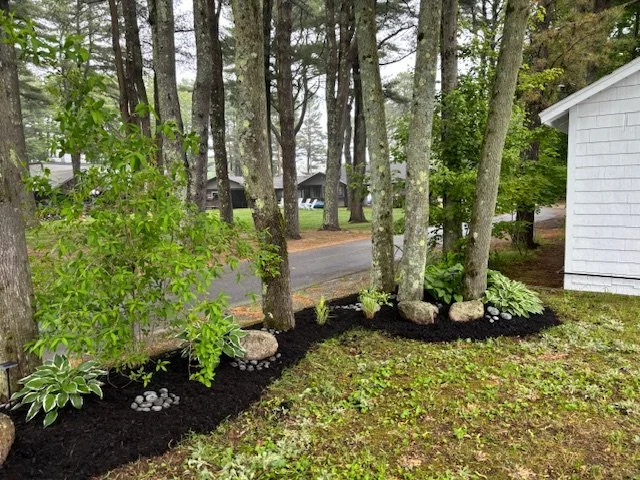 A landscaped yard with mulch, rocks, and plants next to a white house, with trees and a street in the background.