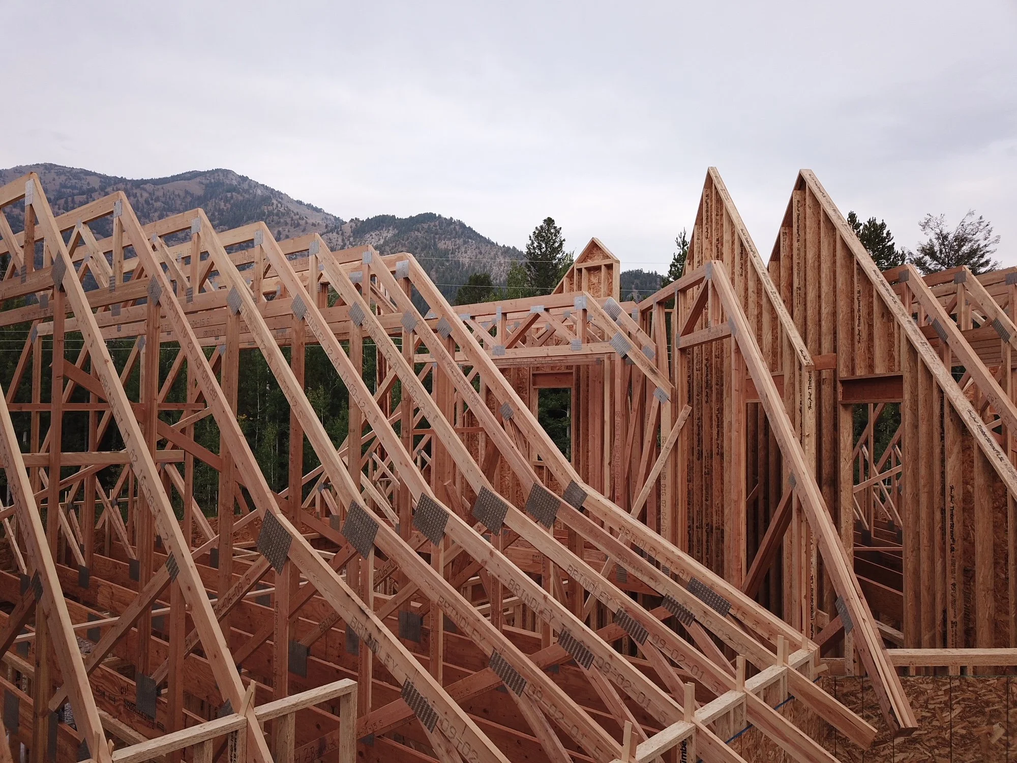 Credit: Blue Dog Construction, LLC