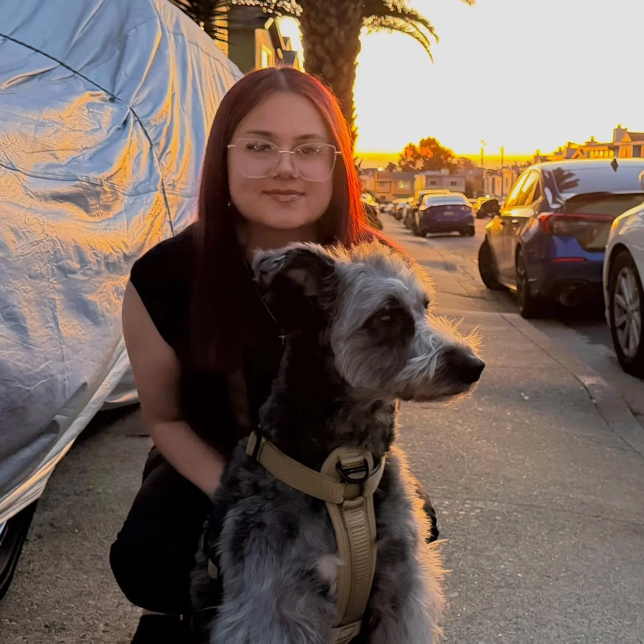A young woman with long dark hair, glasses, and earrings, kneeling on a sidewalk at sunset, holding a large, black and gray dog with a harness, with parked cars and a sunset in the background.