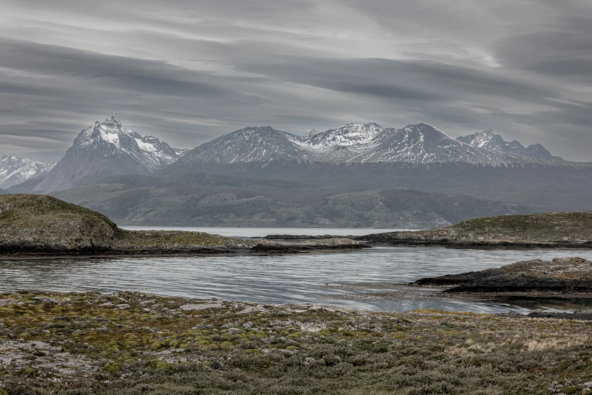 Finding Darwin-11.jpg