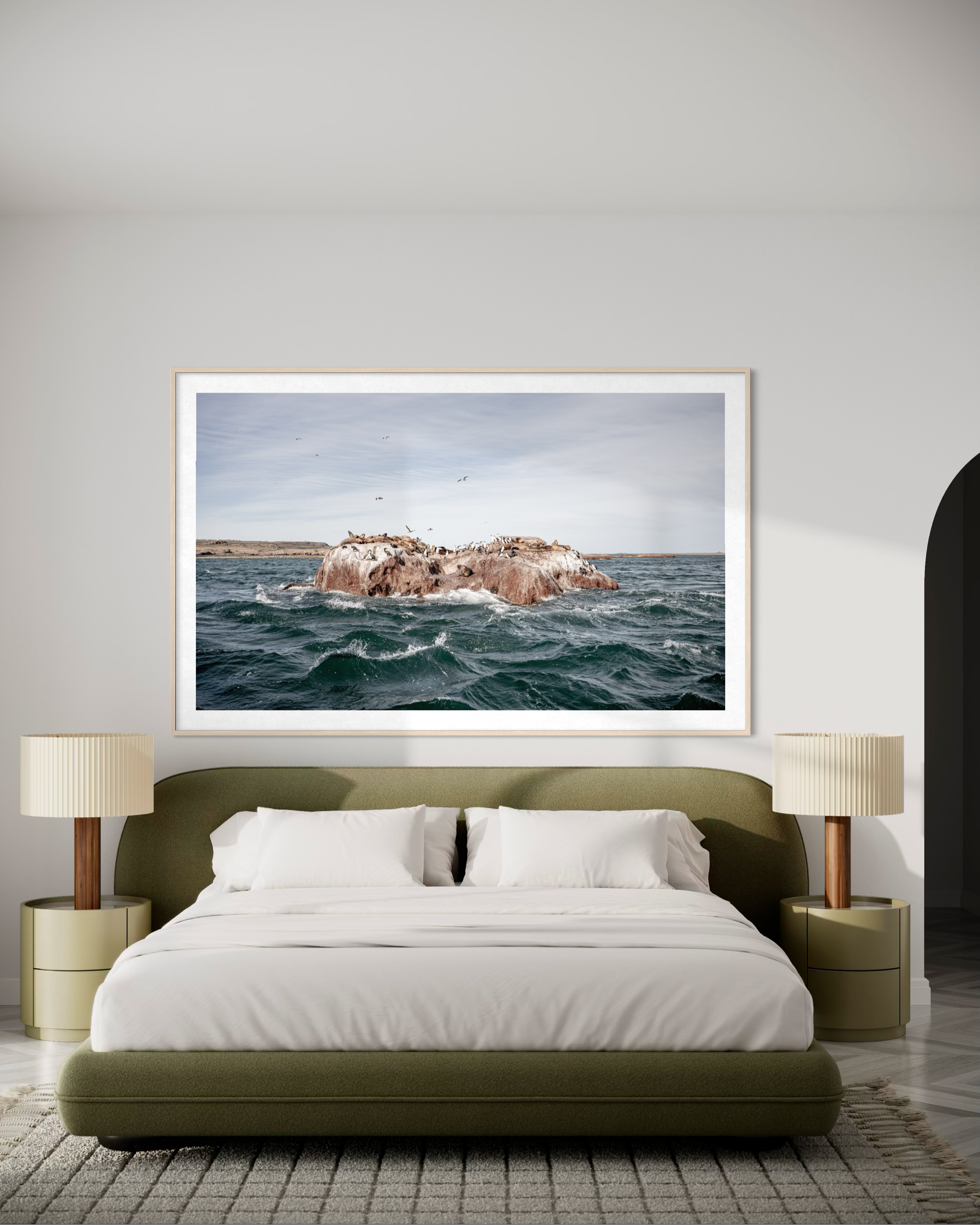 Finding Darwin-2F.png