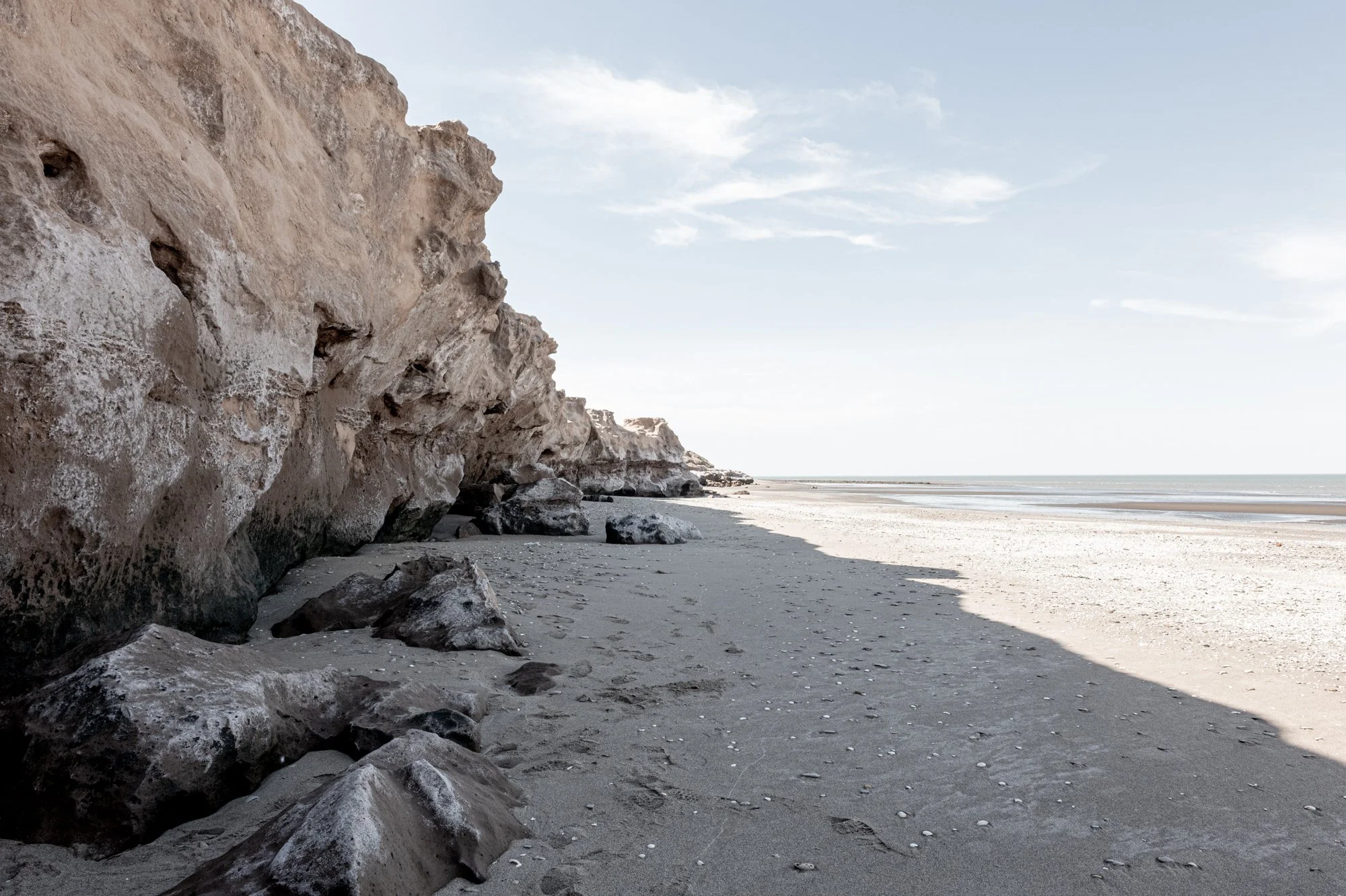 Finding Darwin-3.jpg