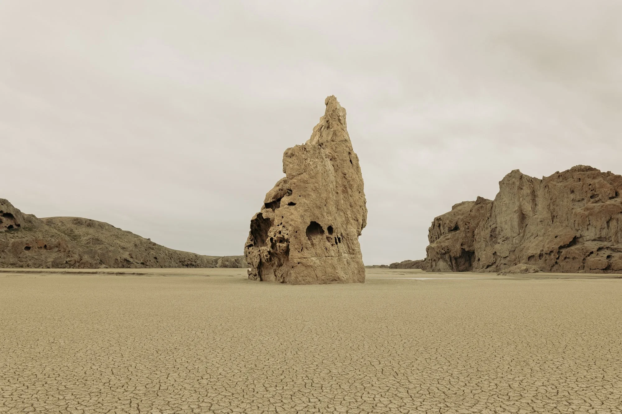 Finding Darwin-6.jpg