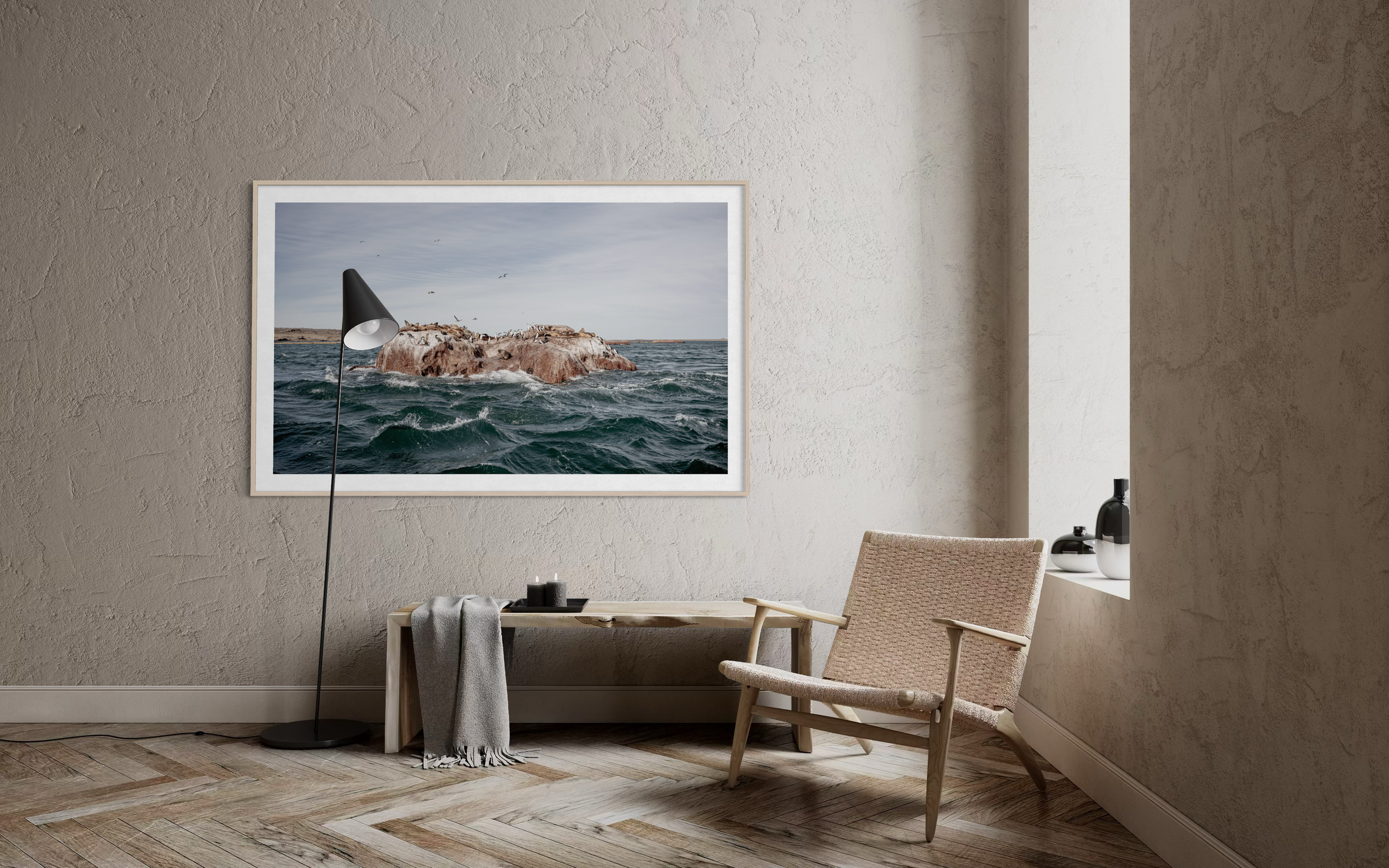 Finding Darwin-2A.png