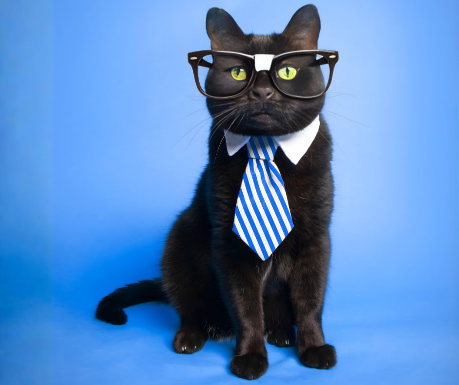 A black cat wearing glasses, a blue and white striped tie, and a white collar against a blue background.