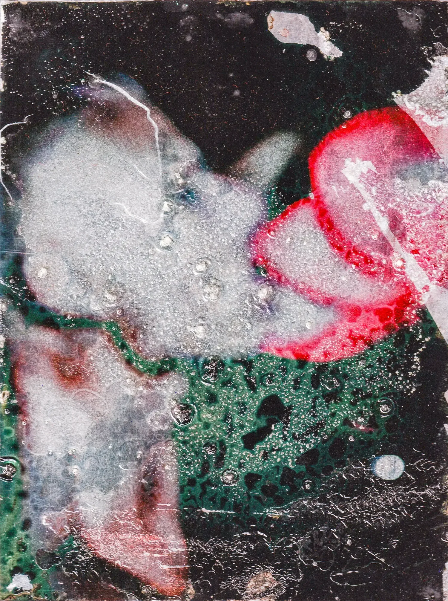 Le Paradis des Orages — photographie Camille Leprince