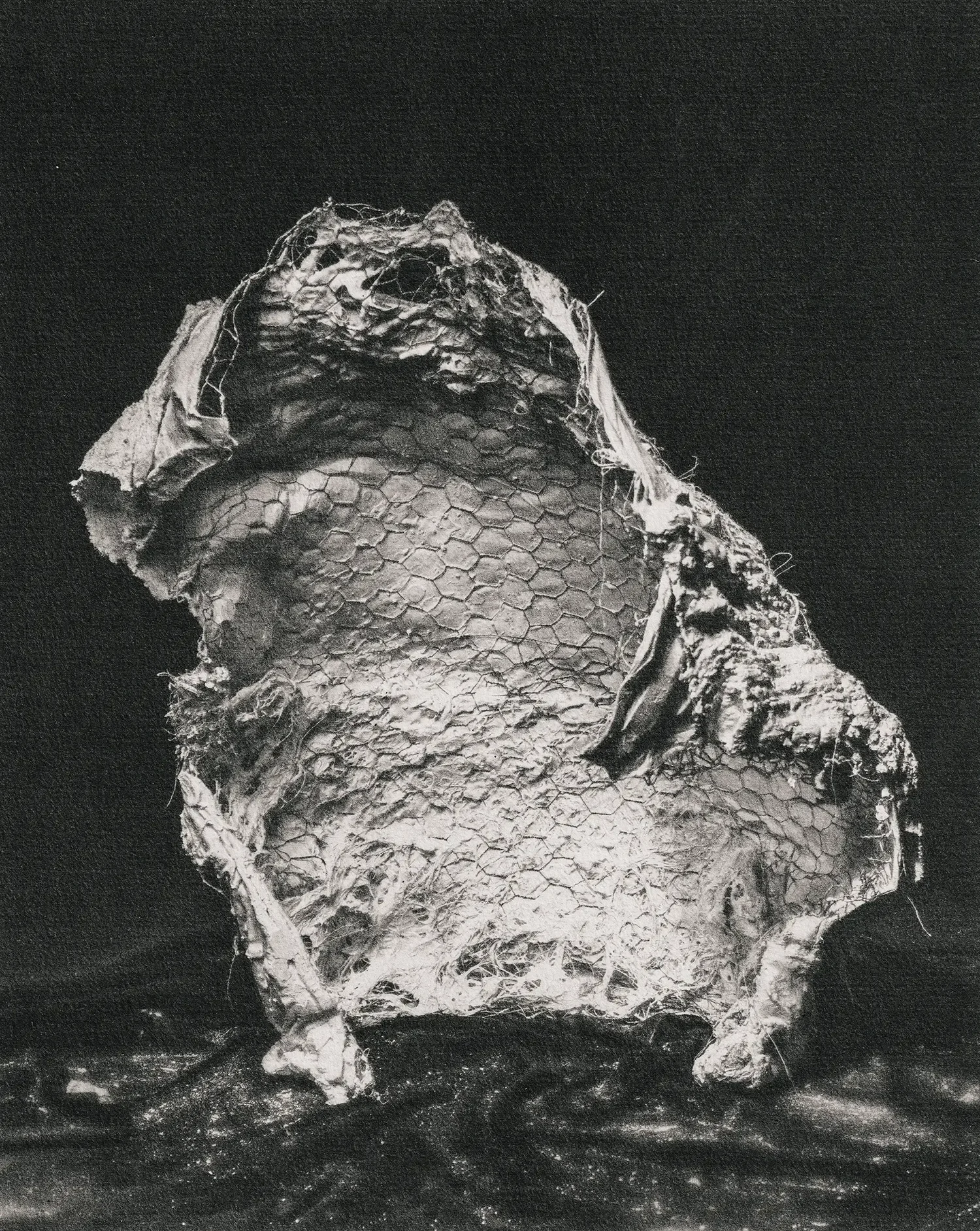 L’Enfant de la Côte d’Albâtre — photographie Camille Leprince