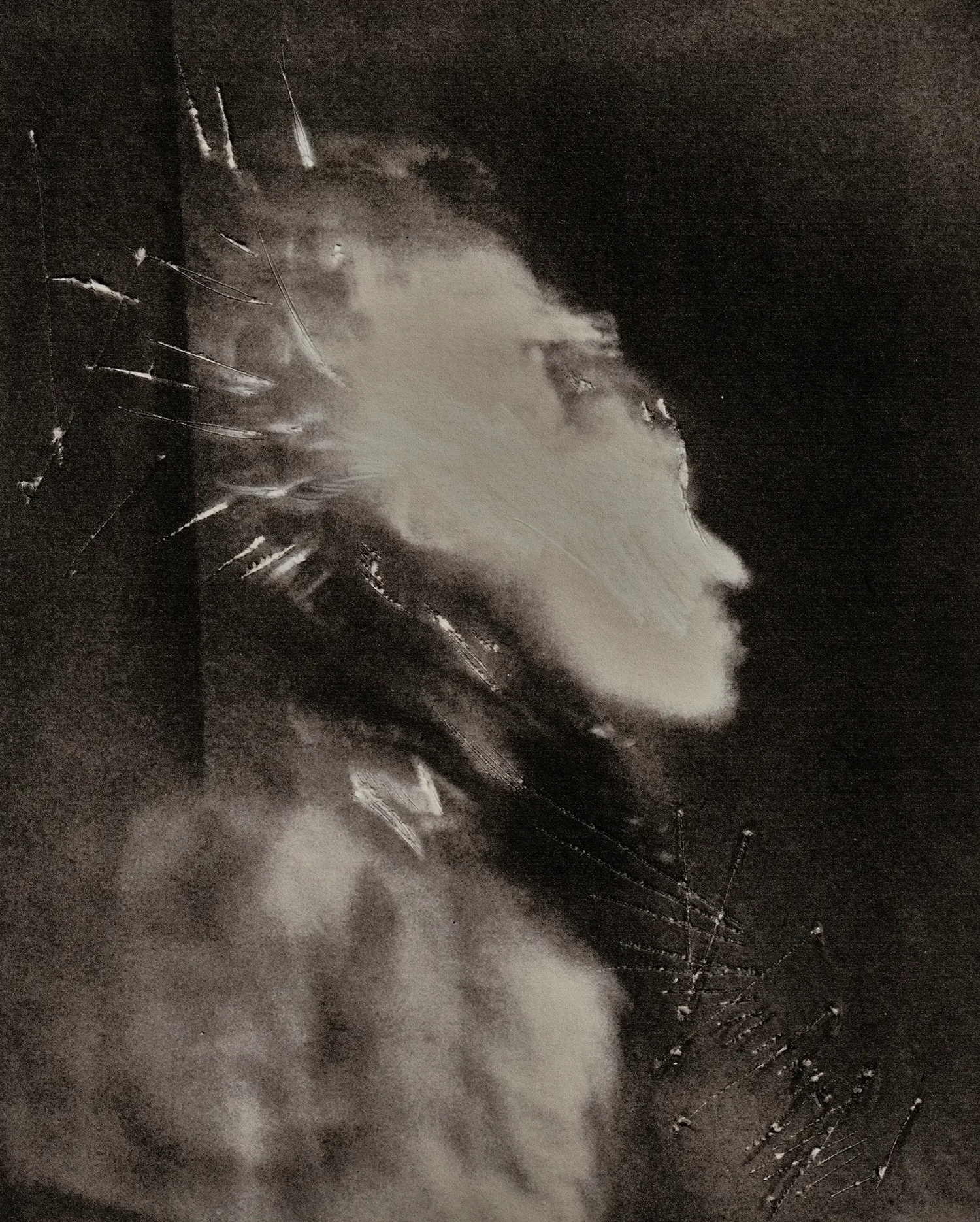 CARAXIS × Devin Neal — photographie Camille Leprince