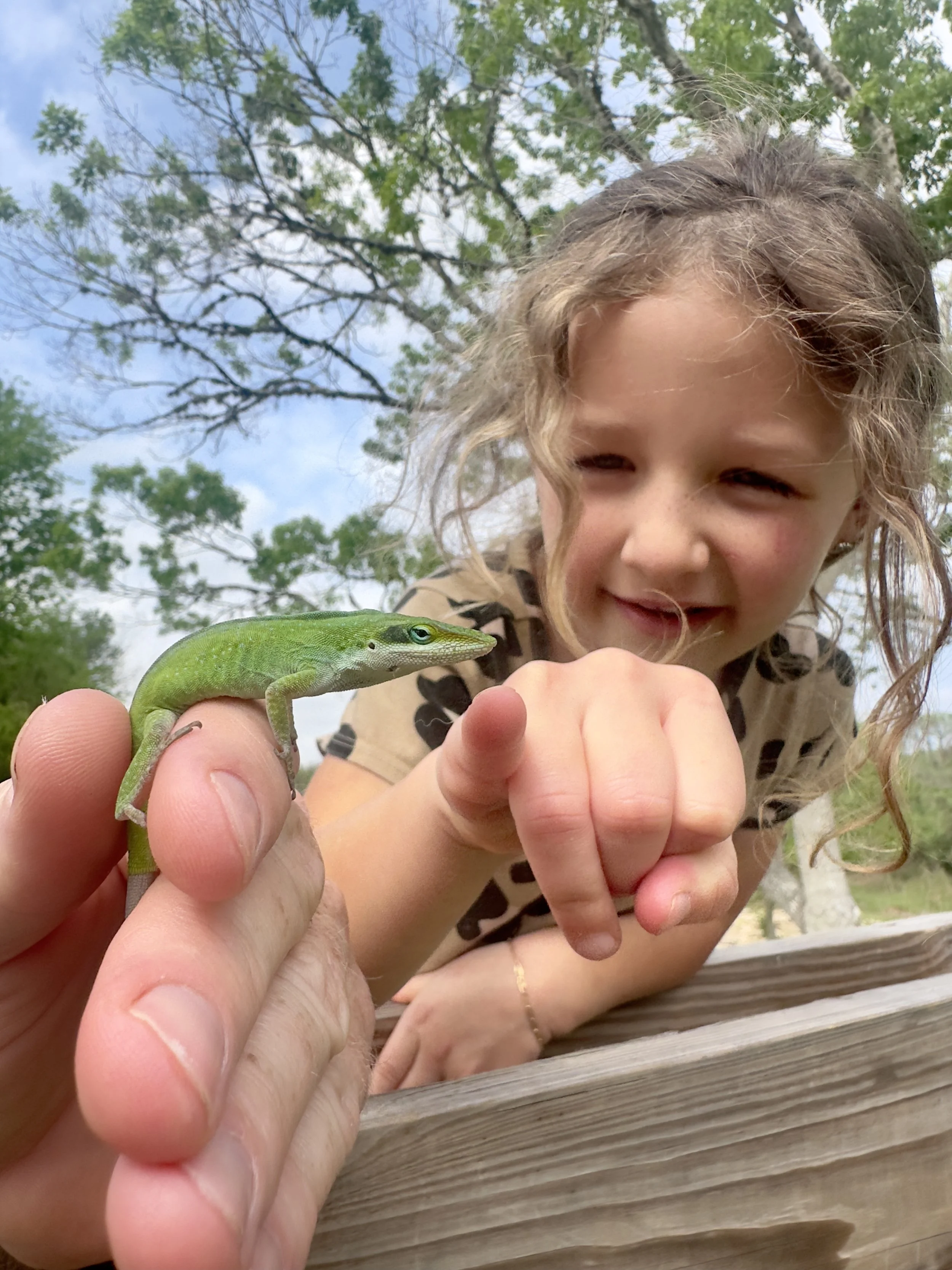 IMG_3046.jpg (Copy) (Copy) (Copy) (Copy)