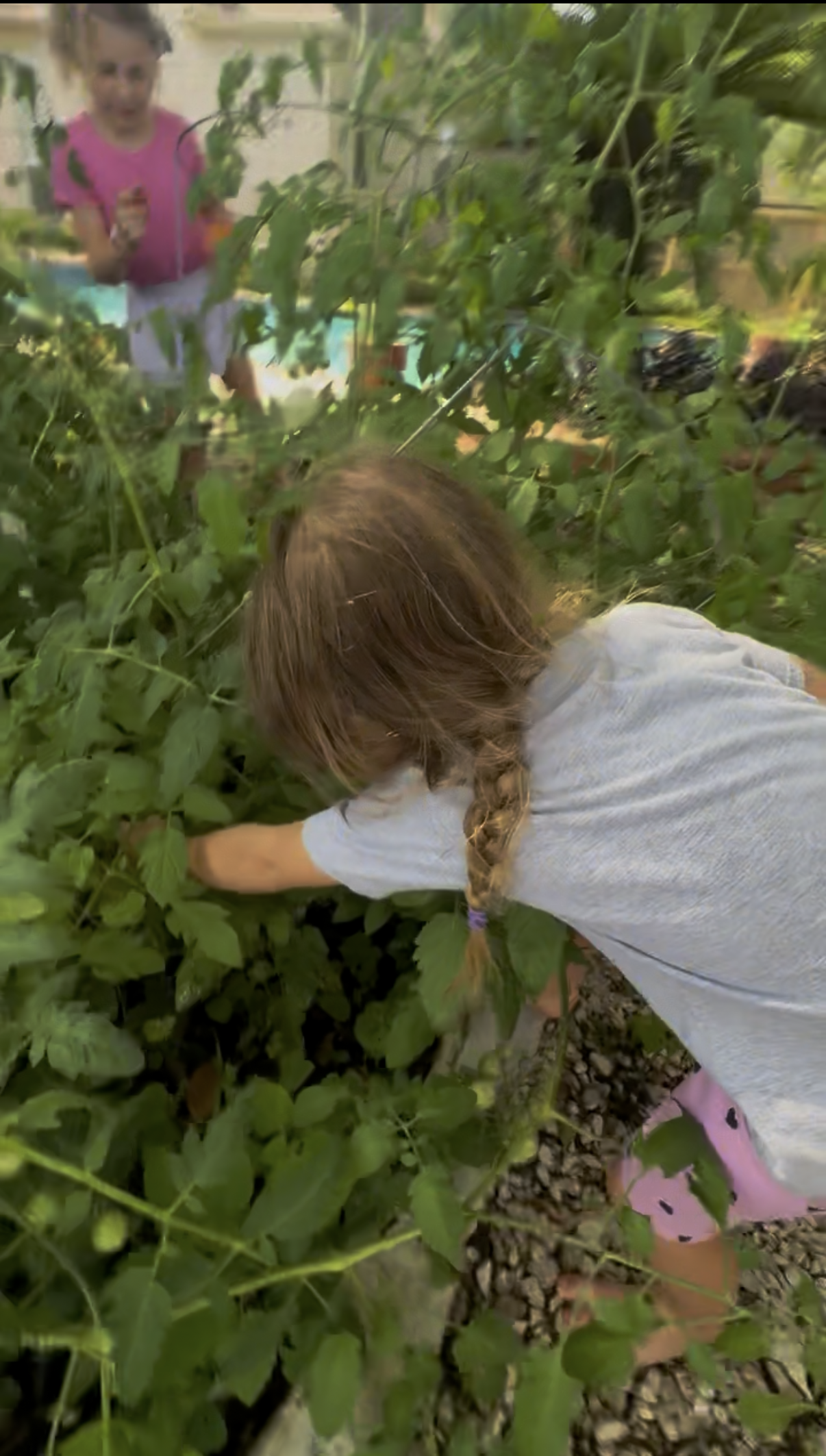 View recent photos 5.png