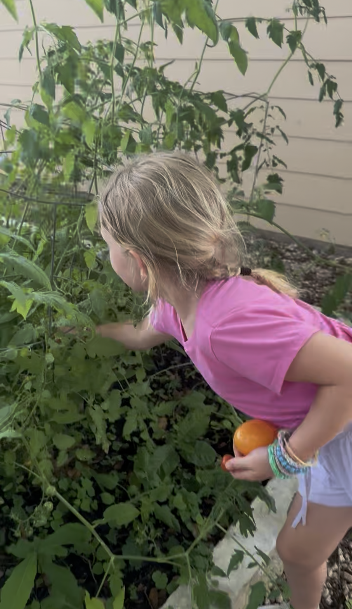 View recent photos 6.png