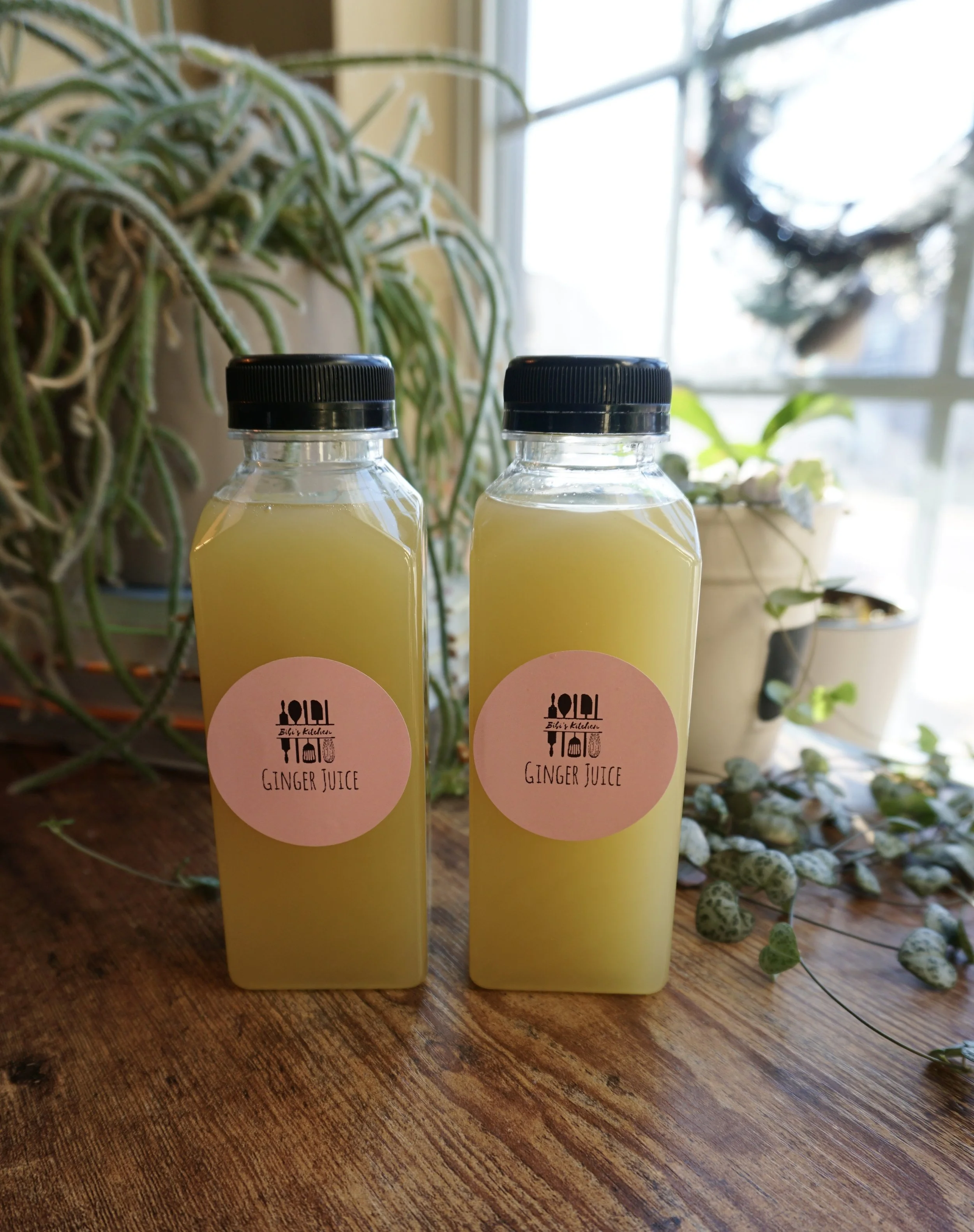 5 - 12Oz. Ginger Juice Bottles