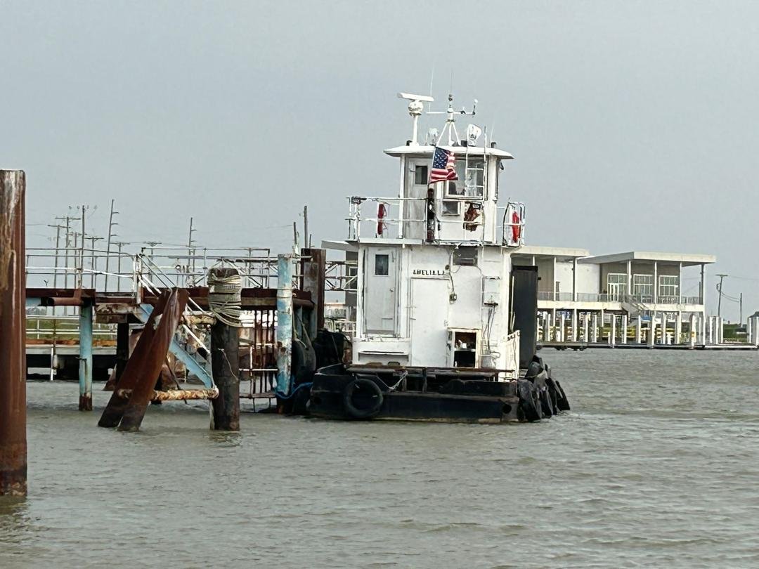 WhatsApp Image 2026-01-05 at 14.16.55.jpeg