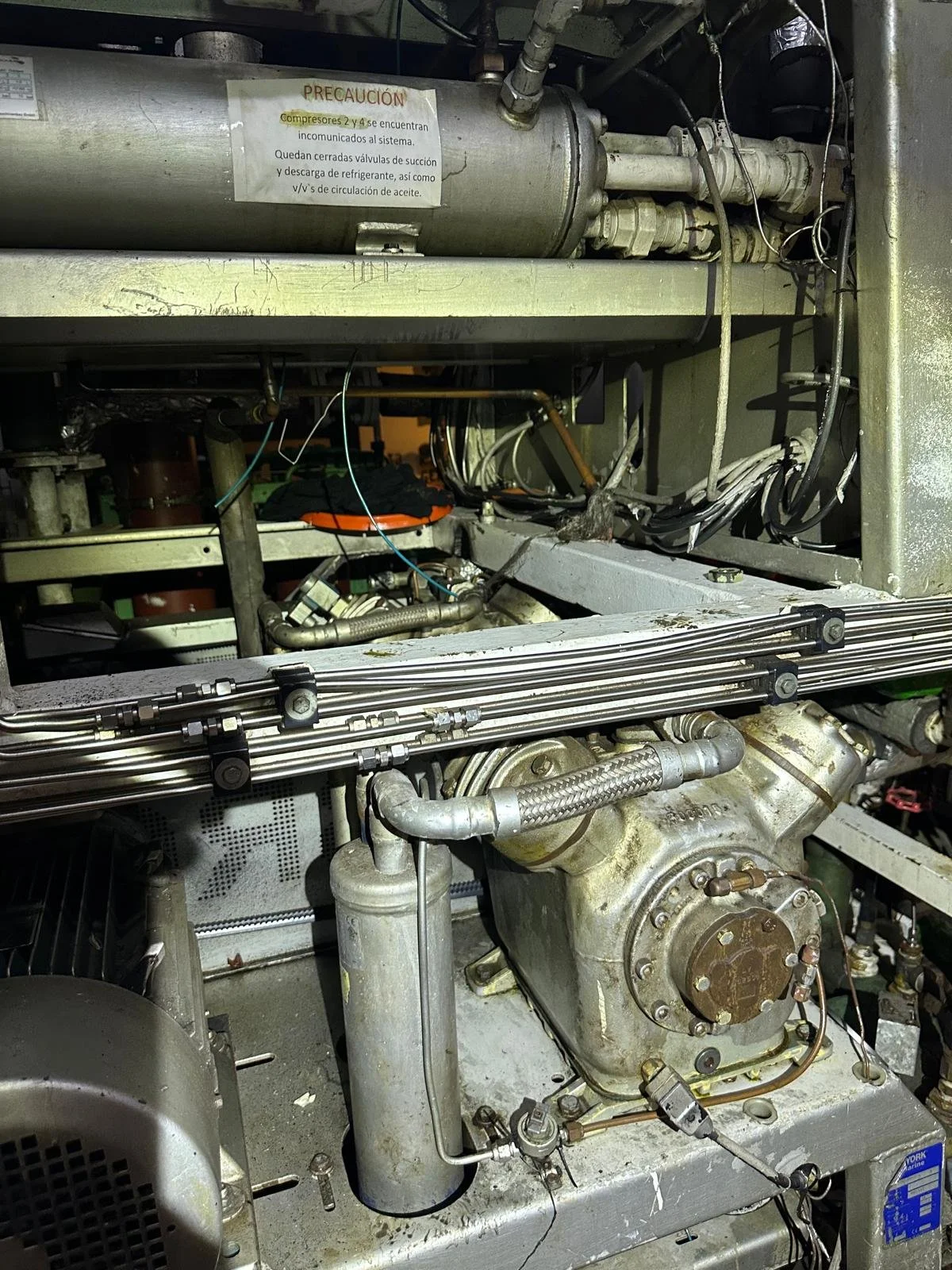 PHOTO-2025-10-26-10-43-11 (13).jpg