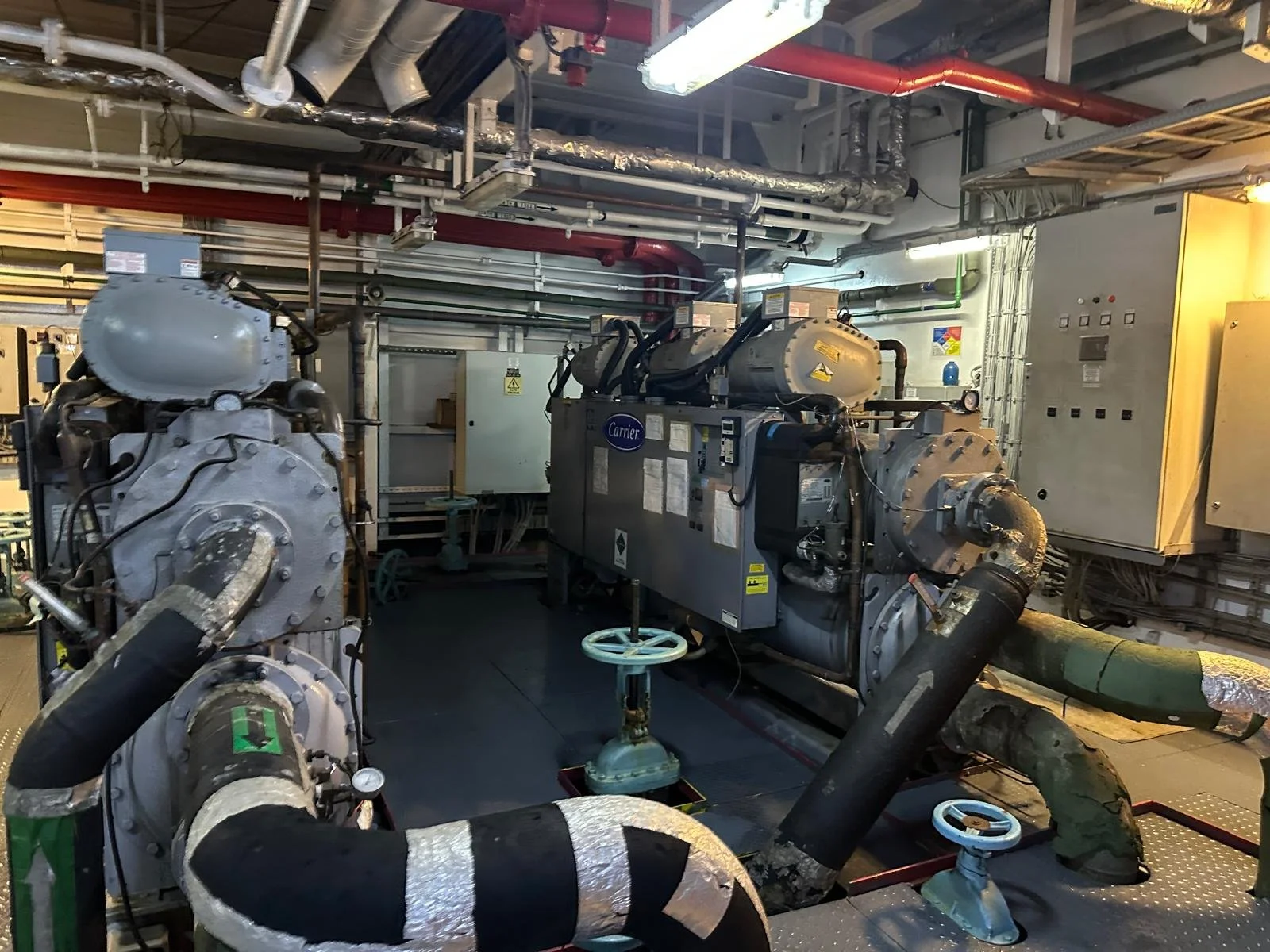 PHOTO-2025-10-26-10-40-17 (1).jpg