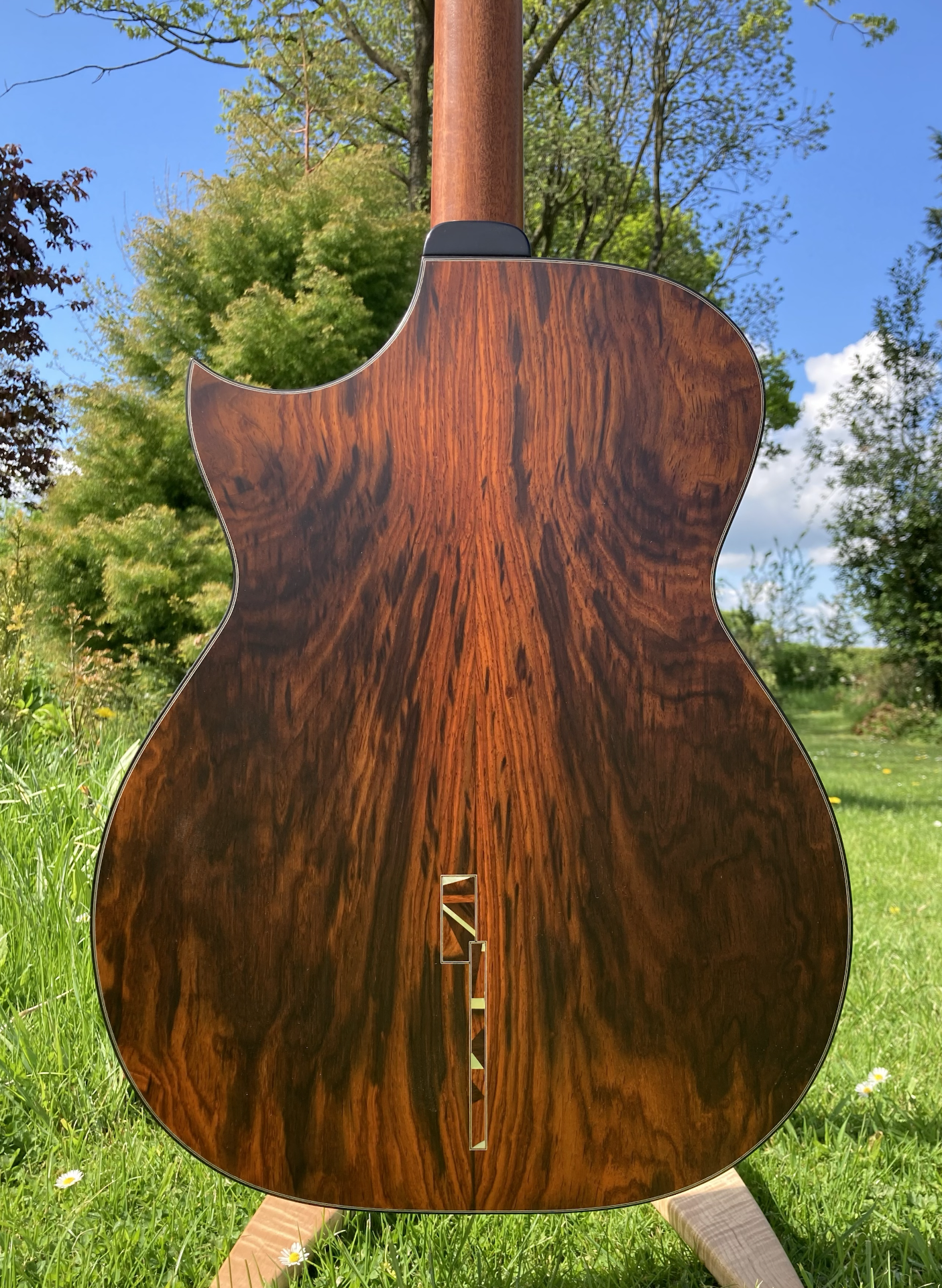 Back of an acoustic guitar with a polished dark wood finish, outdoors on grassy ground with trees and a blue sky in the background.