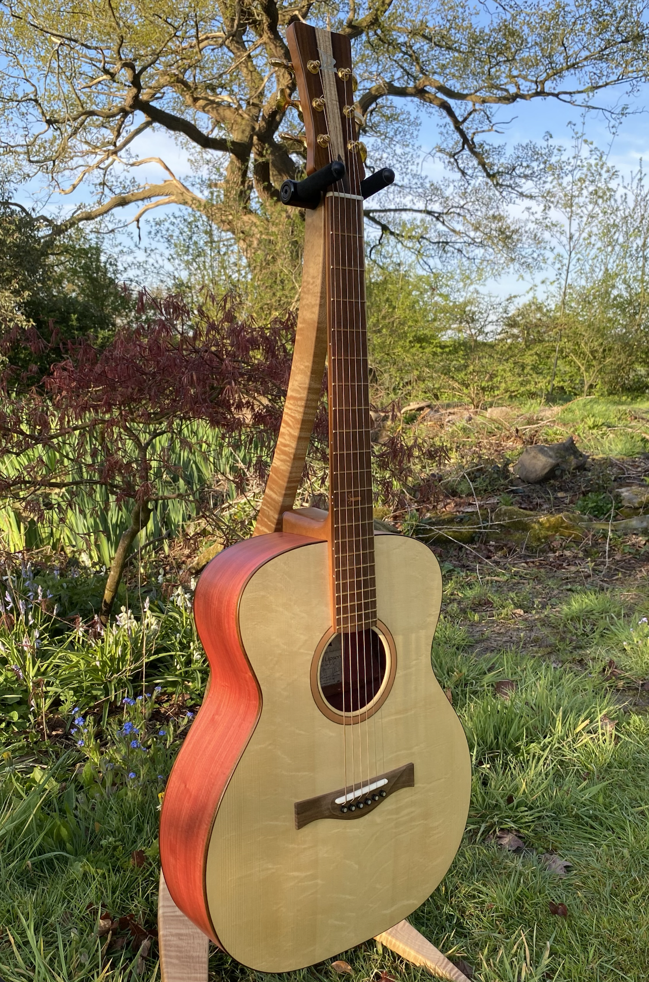 An acoustic guitar with a light wood top and reddish sides leaning against a tree in a garden with green plants, a tree with bare branches, and a blue sky.