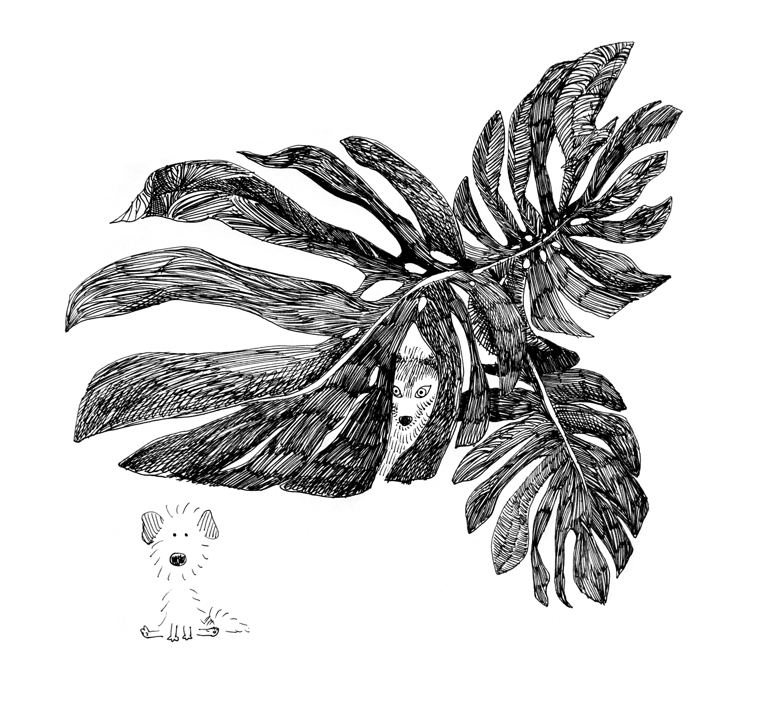 "Observed" 2021, pen on paper, 16x9