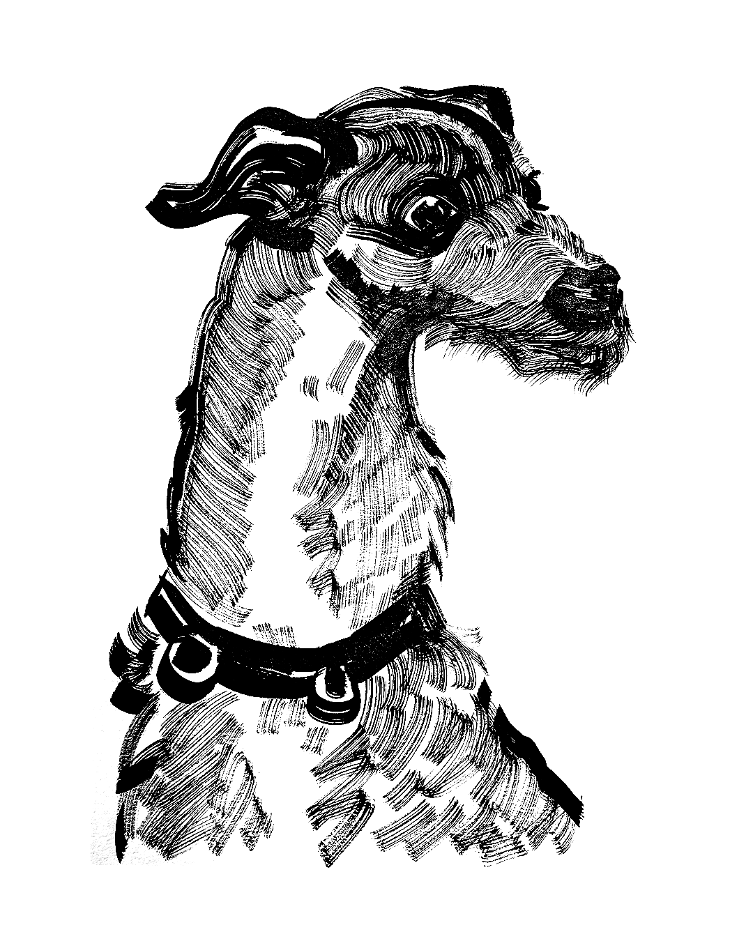 Prepatory dog, ink on paper