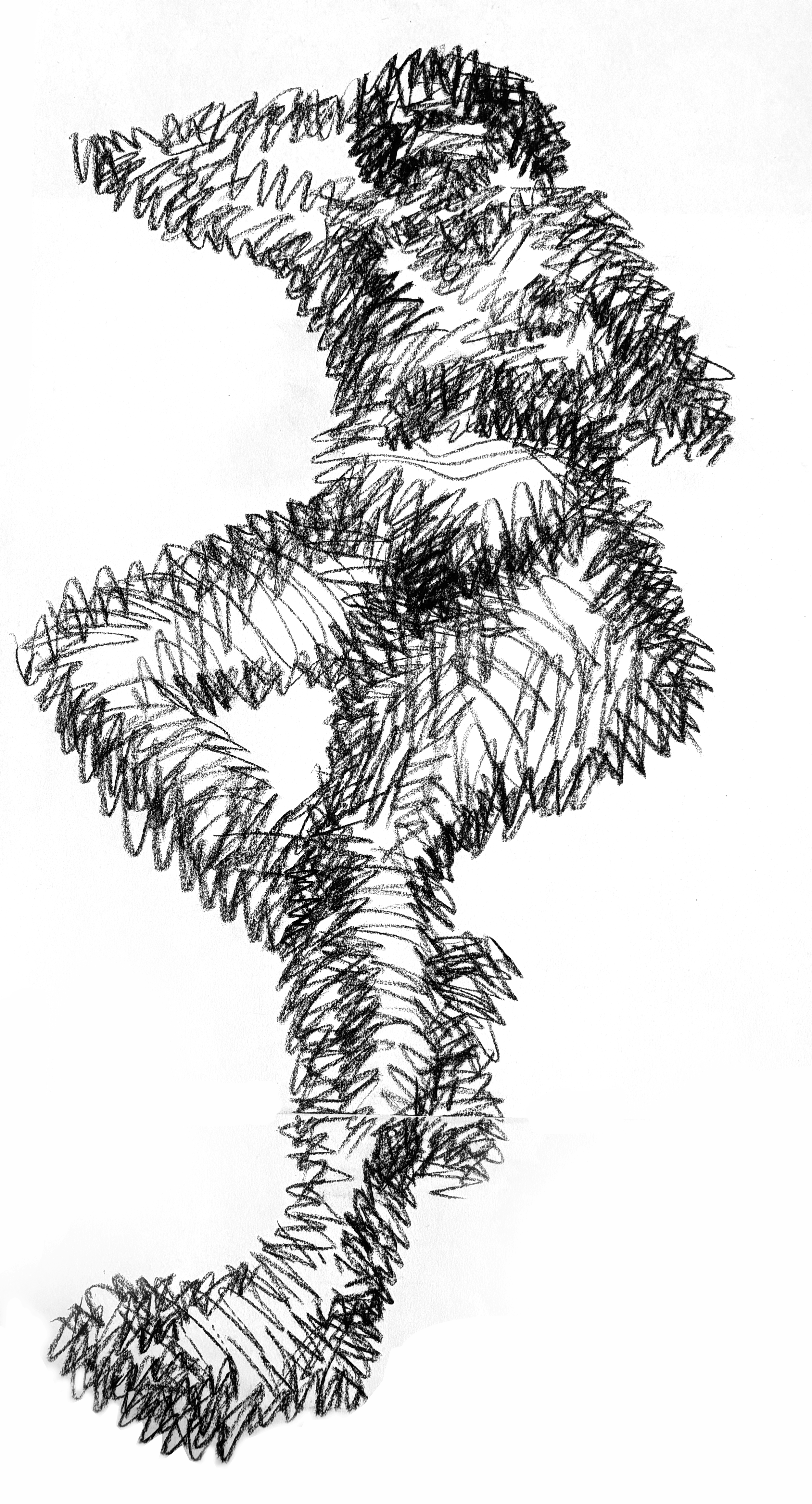 Prepatory sketch 2025, charcoal on paper