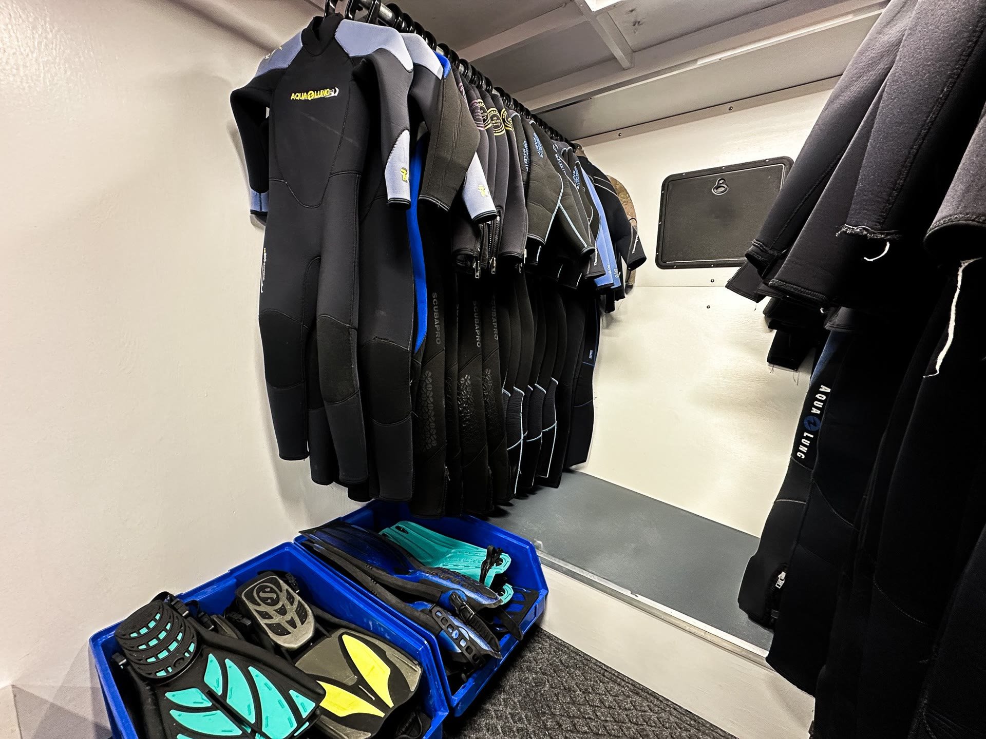 wetsuits-snorkel-fins-included-spectre-tours.jpg