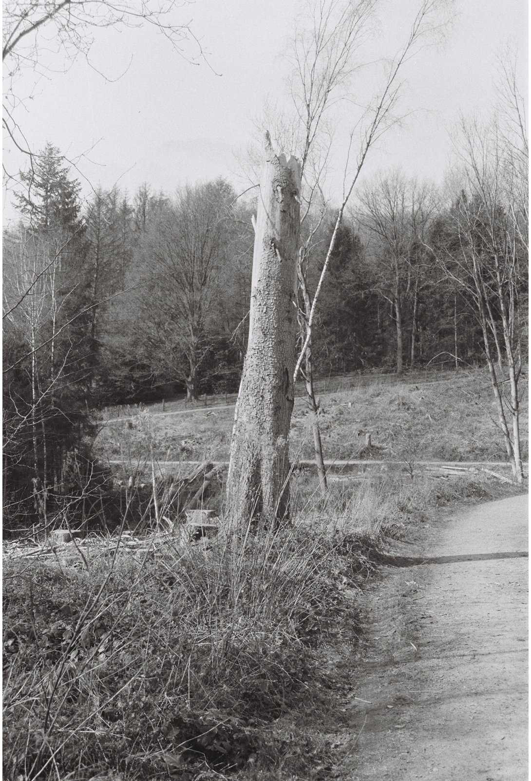 C080424-R1-26-27.png