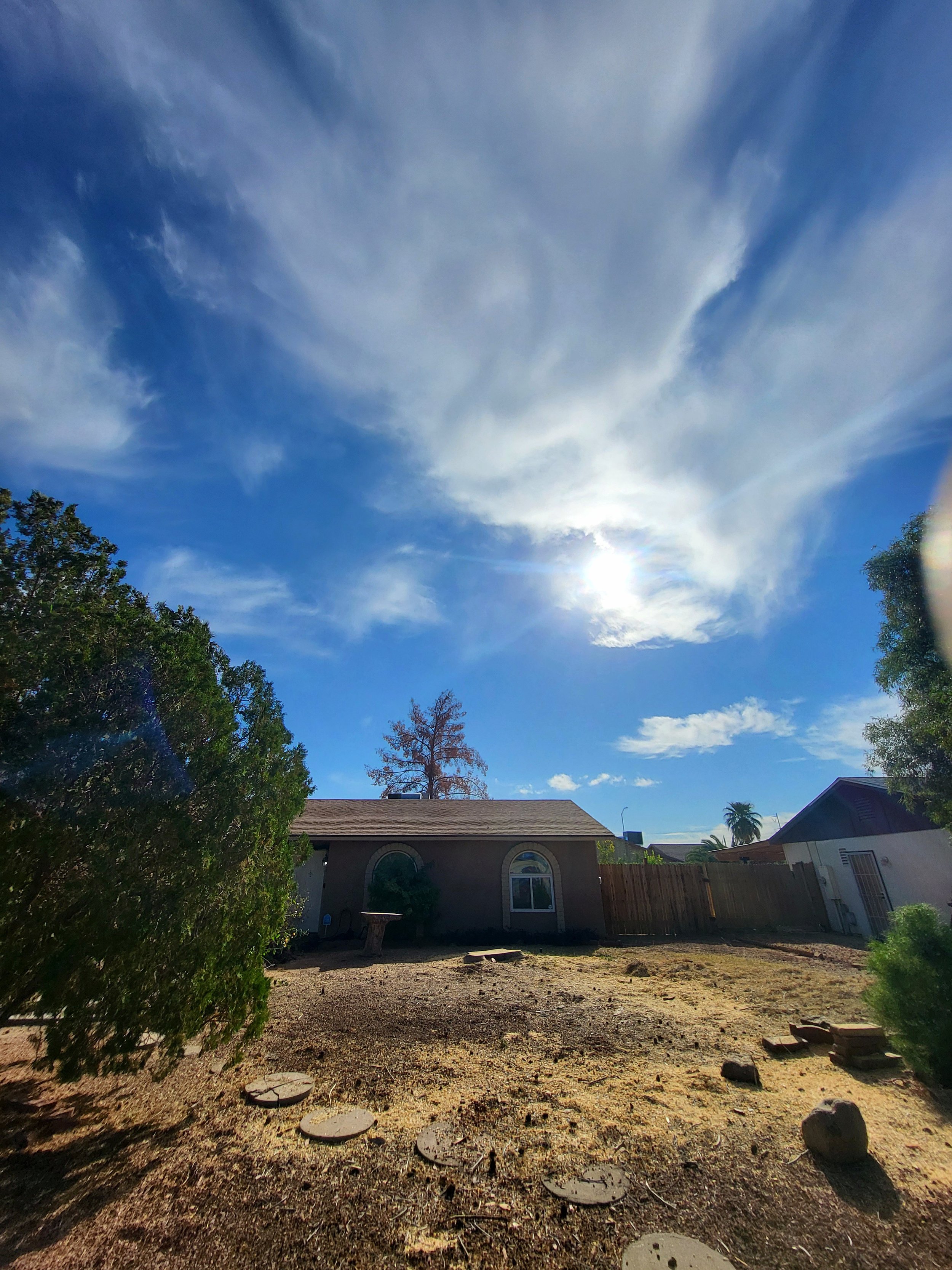 Aleppo pine tree removed with stump remaining at residential property in Scottsdale Arizona