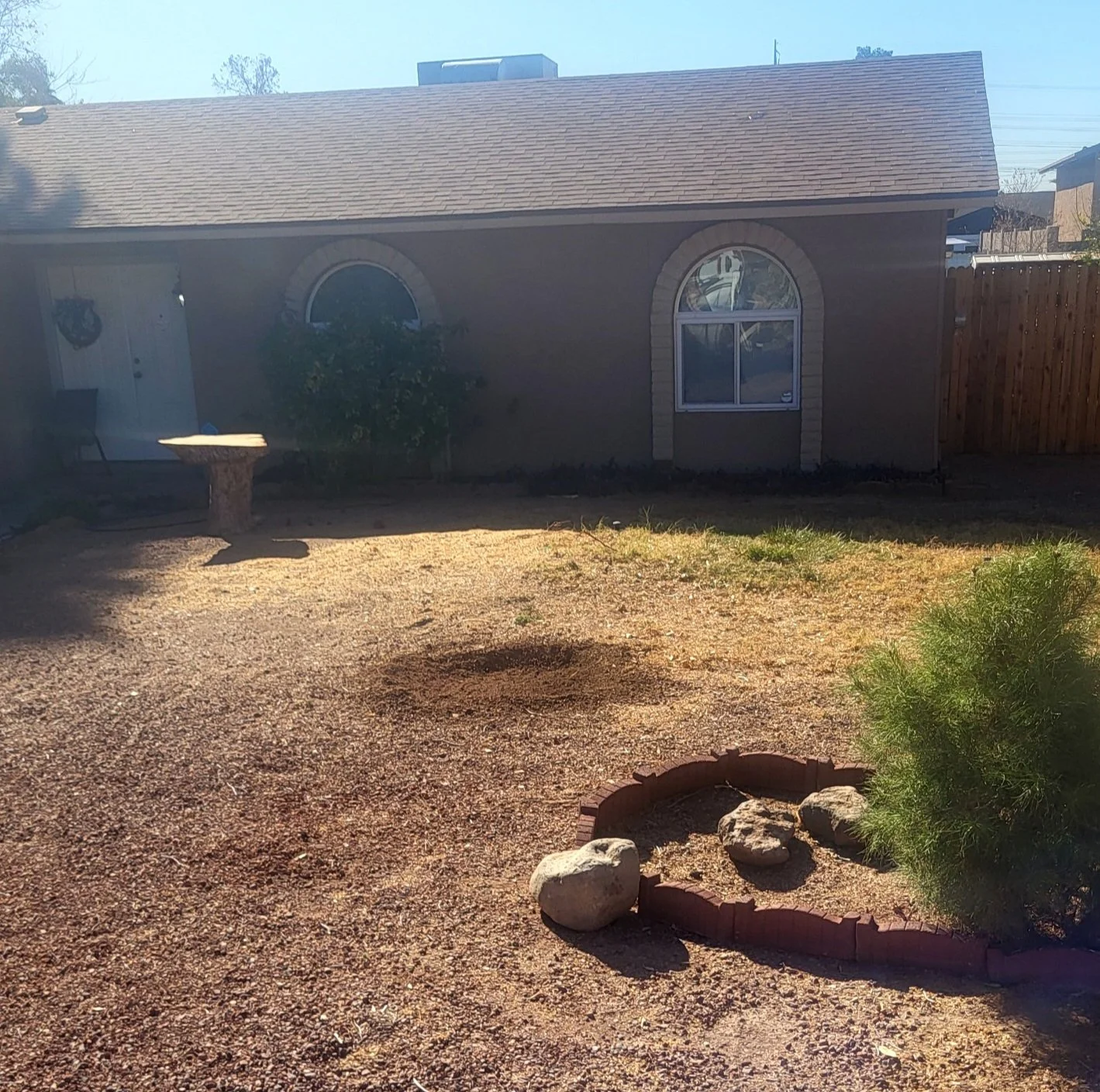 Yard after Aleppo pine stump removal at residential property in Scottsdale Arizona