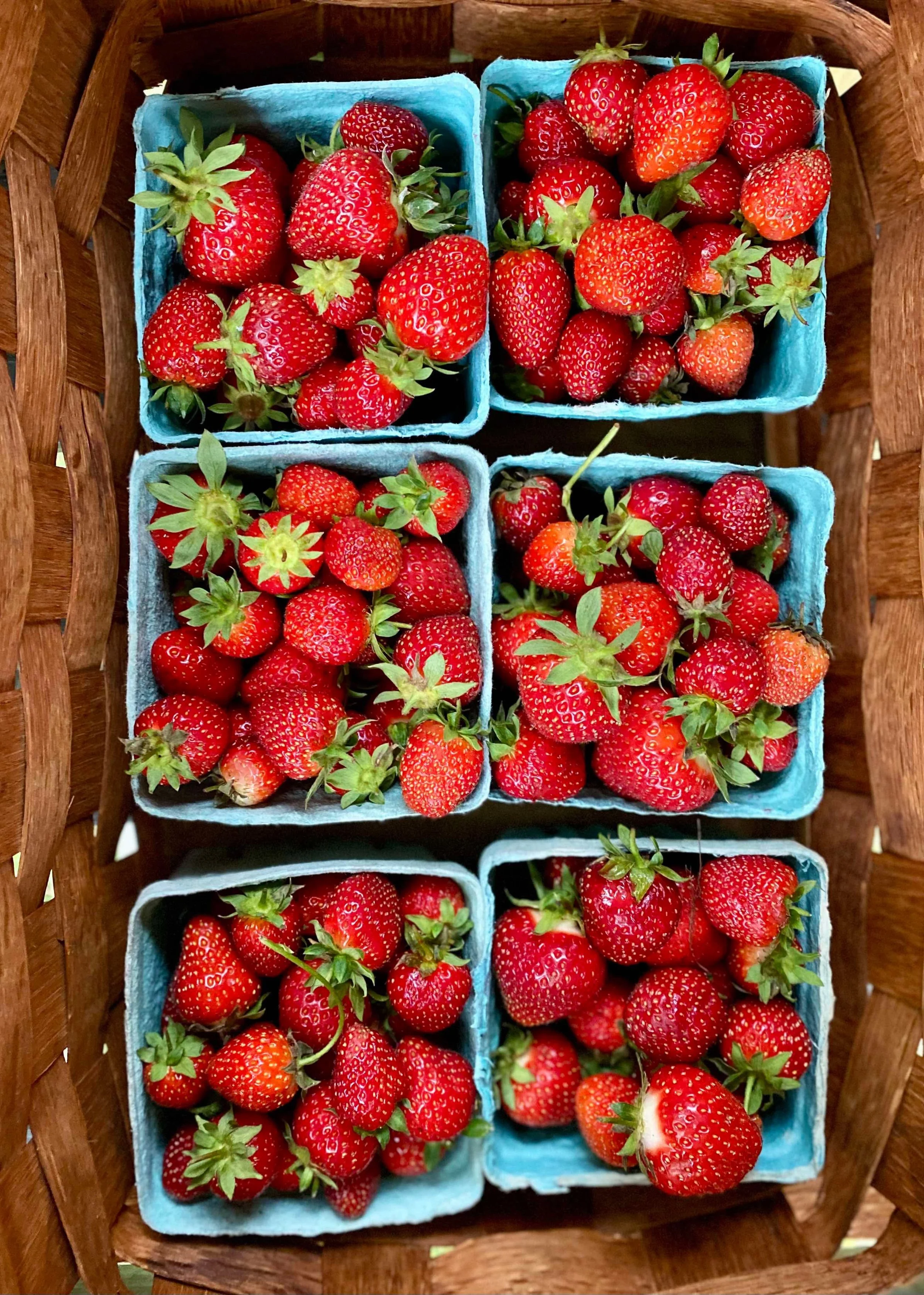 Six small blue baskets filled with fresh, ripe strawberries placed in a round woven basket.