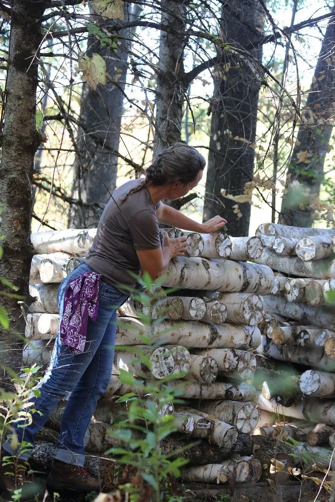 A woman with long hair in a ponytail wearing a brown t-shirt, jeans, and a purple bandana adjusting or inspecting cut logs stacked in a forested area.