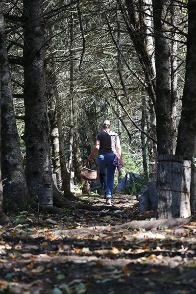 Walking forest farm carrying harvest basket