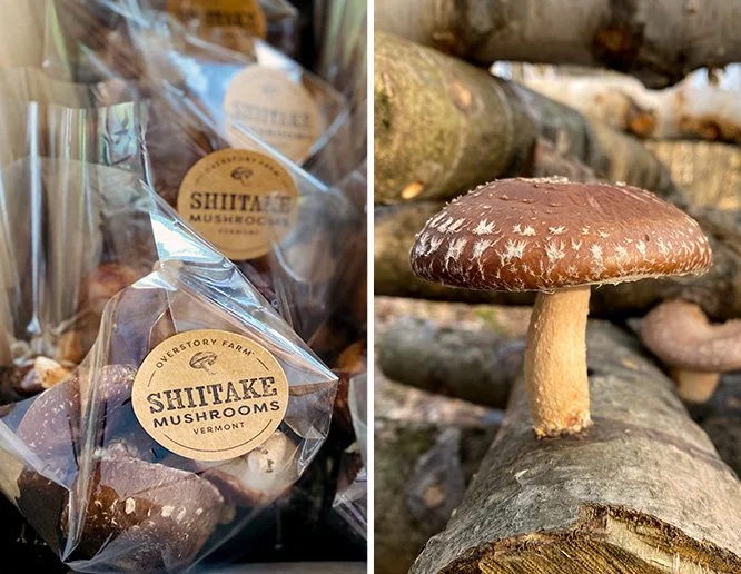Left side: Bags of shiitake mushrooms from Overstory Farm Vermont. Right side: A single shiitake mushroom growing on a log from farm.