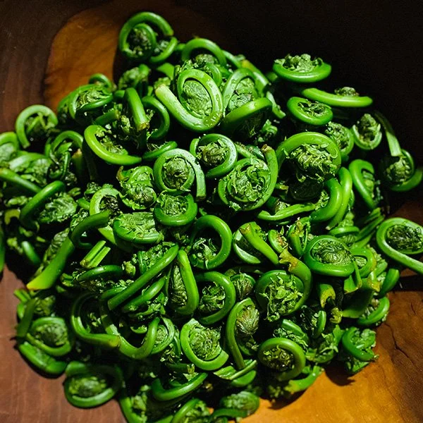Prepared and cleaned fresh fiddleheads