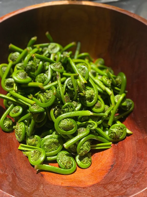spiral shape fiddlehead ferns in wooden bowl