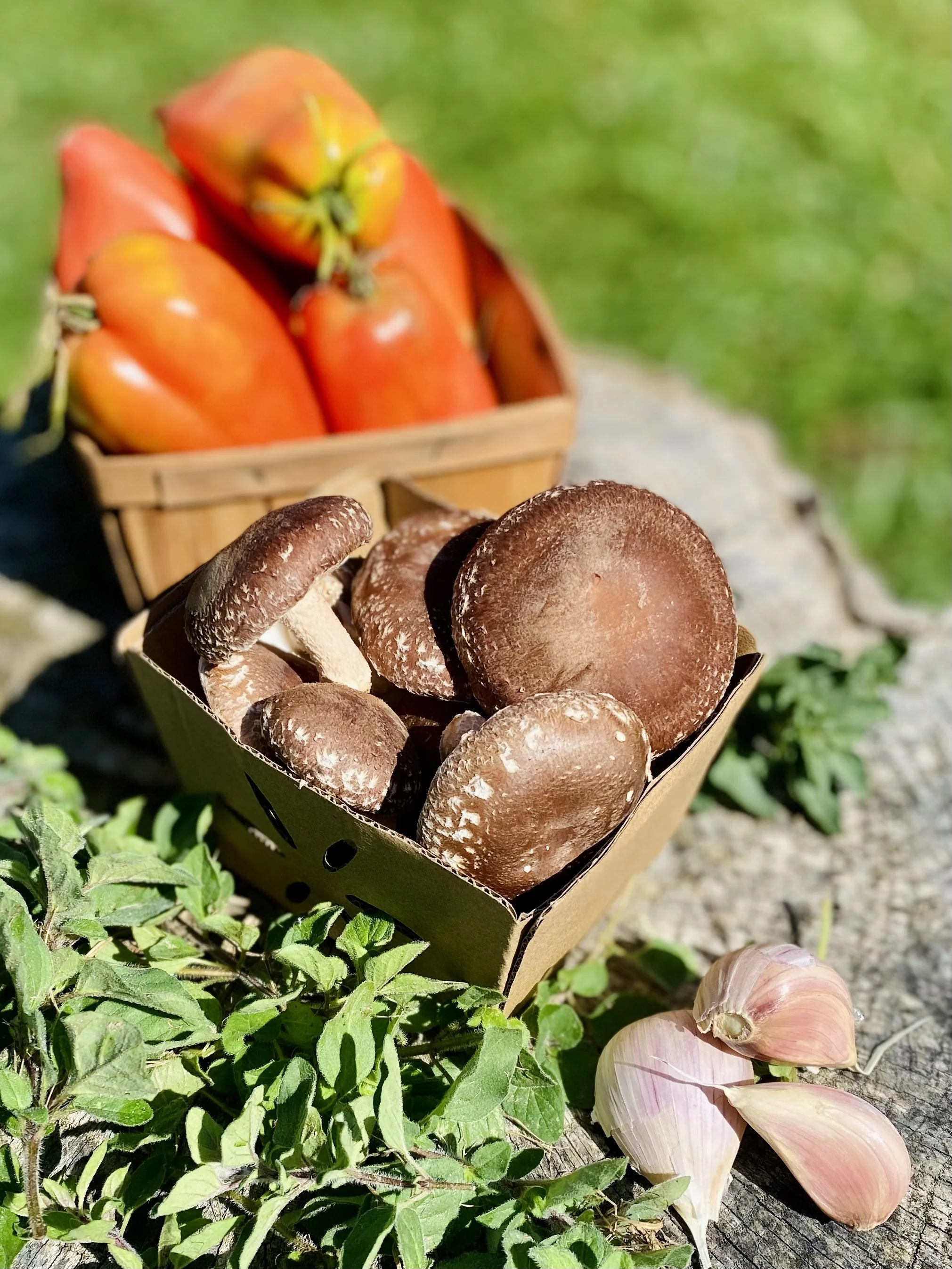 Fresh shiitake mushrooms in a small black basket, garlic cloves on a slab of wood, and a basket of ripe heirloom tomatoes in the background.