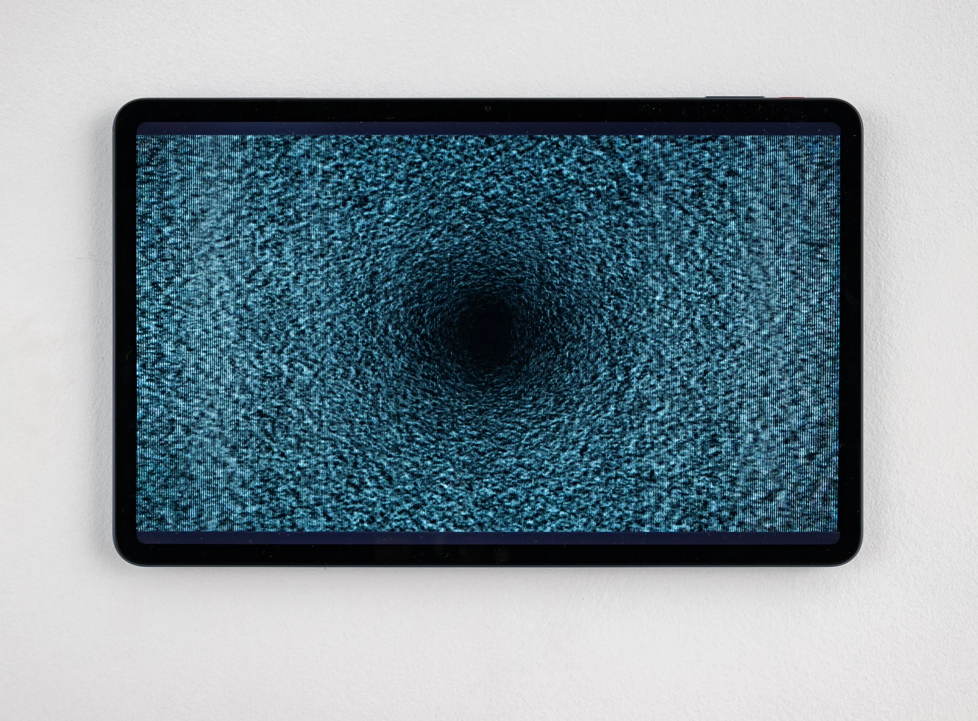 2025-08 - Grizzly Grizzly 7.jpg